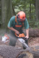 Click to see it big Ich mit Kettensäge, Impression aus dem Wald